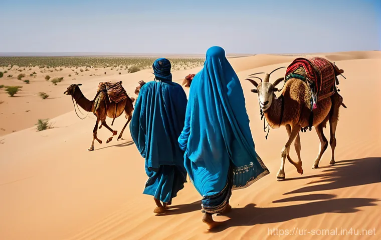 소말릴란드 유목민 생활 방식 - **A Nomadic Journey Through the Somali Desert**
    A wide-angle, cinematic shot capturing a Somali ...