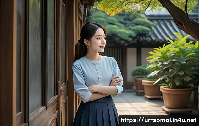 소말릴란드 독립 선언 관련 이미지 1